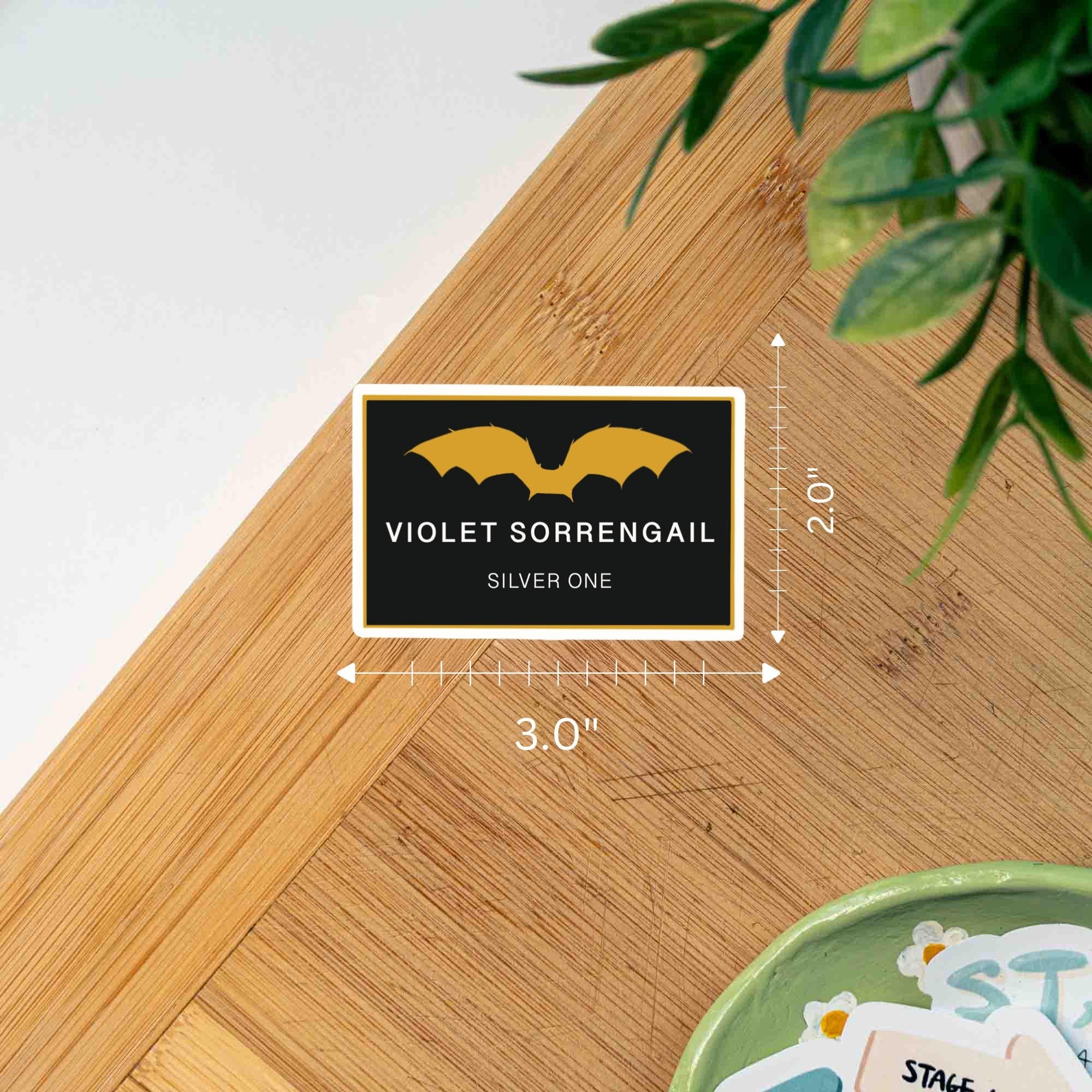 Dragon Rider War College Flight Patches Iron Squad Romantasy Sticker thumbnail 5