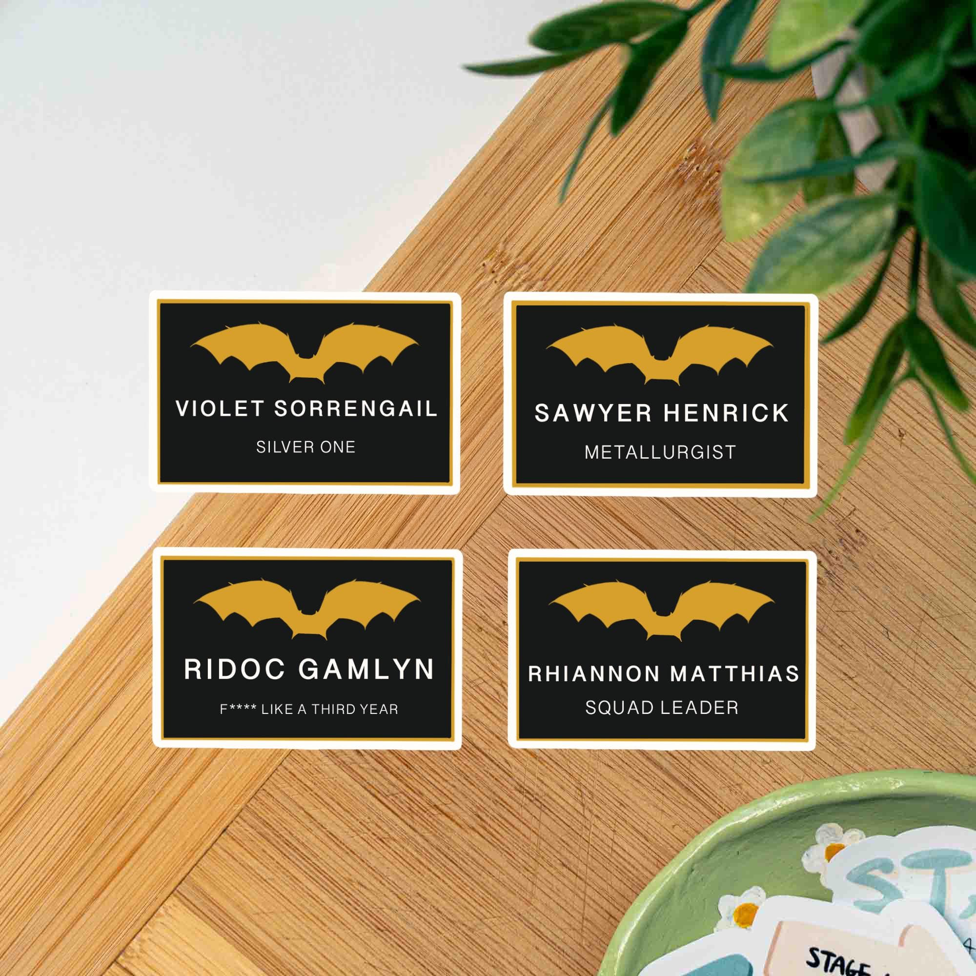 Dragon Rider War College Flight Patches Iron Squad Romantasy Sticker